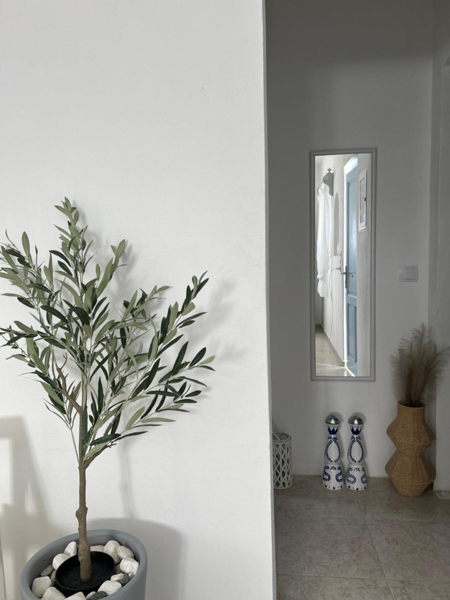 Ferienwohnung Cozam Mykonos Ano Mera Exterior foto